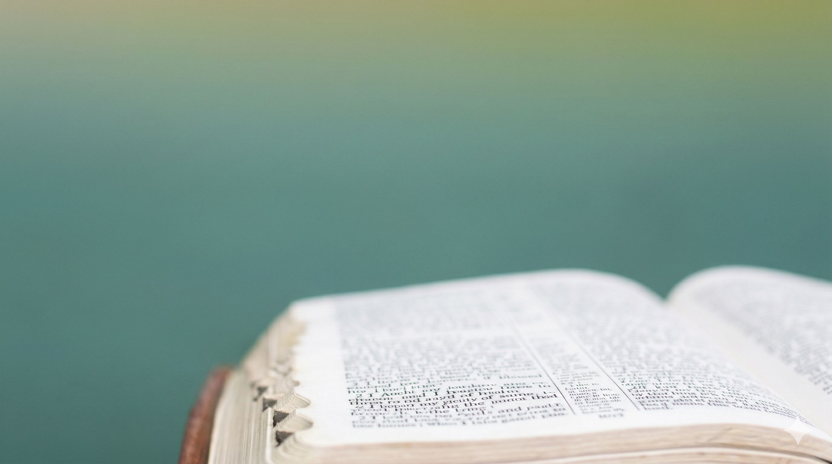 Who Is Jesus? The King Who Came to Save (Palm Sunday Message)